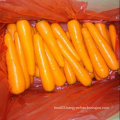 Good Quality of Chinese Fresh Carrot From Factory